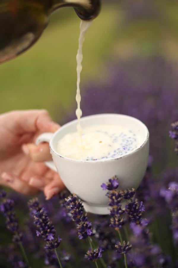 Lavender Valley Perekrestnoye Bagian luar foto