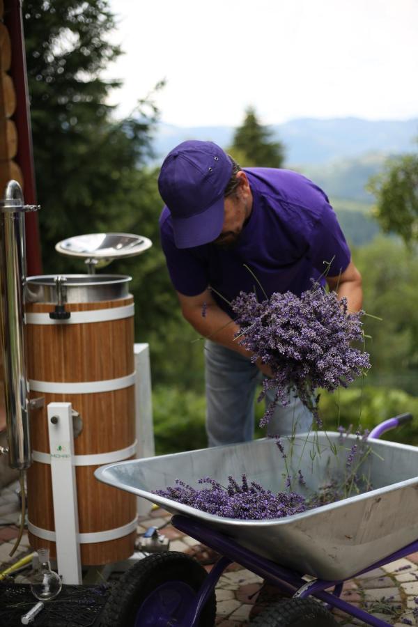 Lavender Valley Perekrestnoye Bagian luar foto